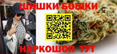 гидра Кингисепп