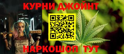 гидра Кингисепп