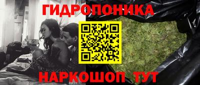 гидра Кингисепп