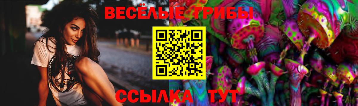 Галлюциногенные грибы Psilocybe Комсомольск-на-Амуре
